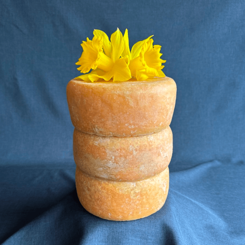 Solidago wheels